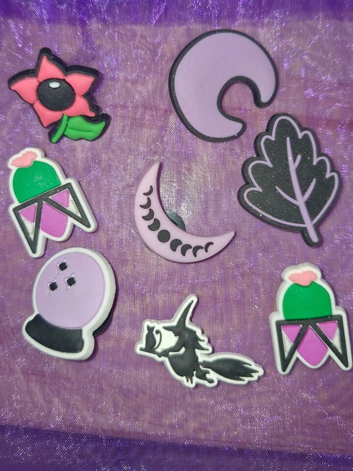 Ammonite Polished Fossil from Sparkle & Spell Co.