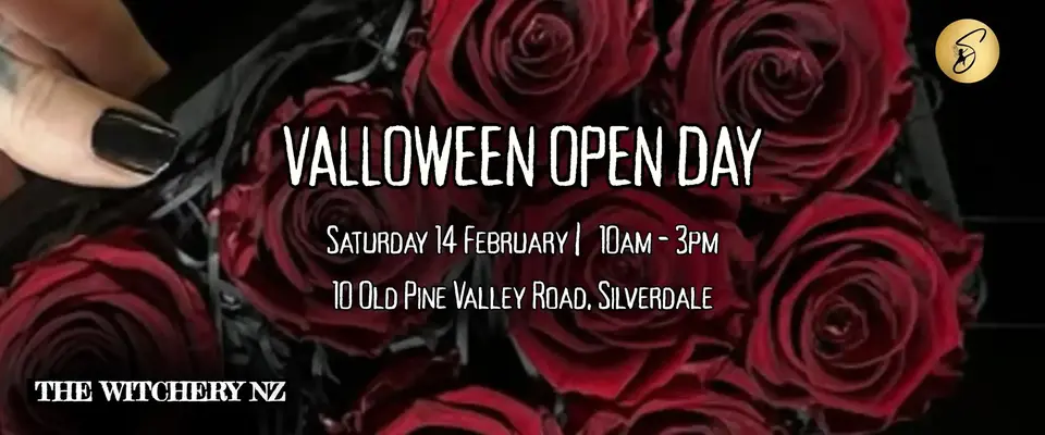 Visit Glenda Goodspell at The Witchery NZ for Valloween | Sparkle & Spell Co.